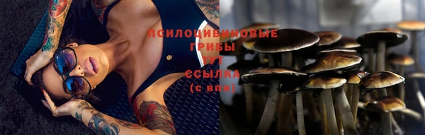 соль ск Беломорск