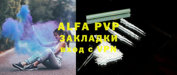 мяу мяу кристалл Богданович