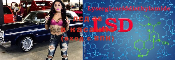 PSILOCYBIN Белоозёрский