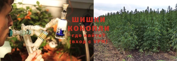 PSILOCYBIN Белоозёрский