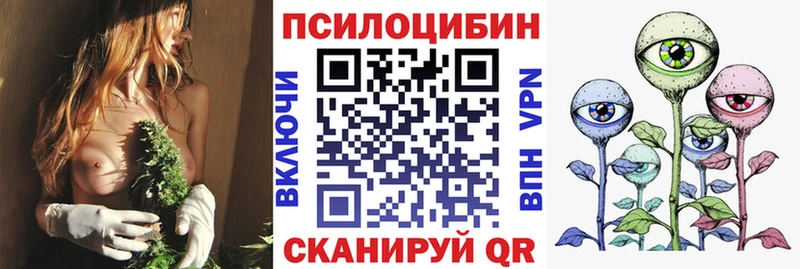 Галлюциногенные грибы Psilocybine cubensis  купить наркоту  Козьмодемьянск 